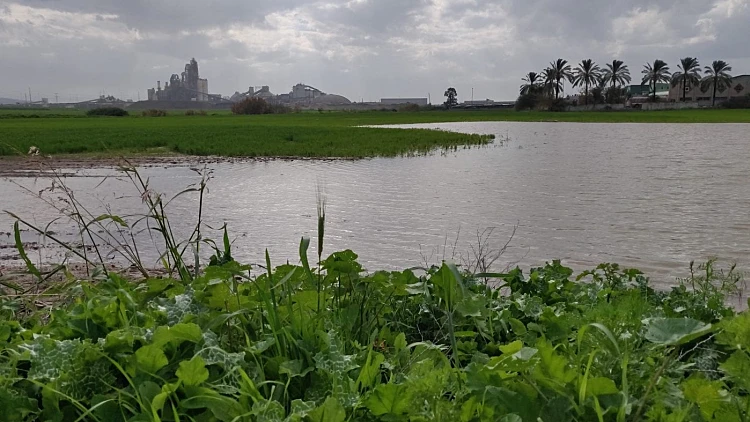 בריכה ליד נחל גזר