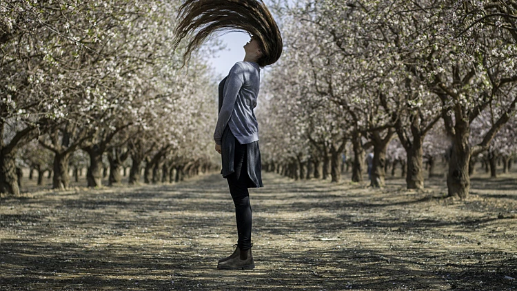 פסטיבל השקדיות בחבל יתיר