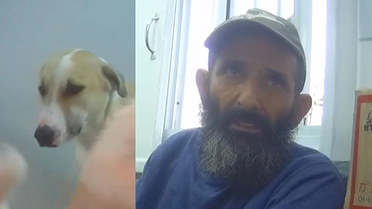 "גיליוטינה ניידת": מה קורה בחווה של לוכד הכלבים של צה"ל?