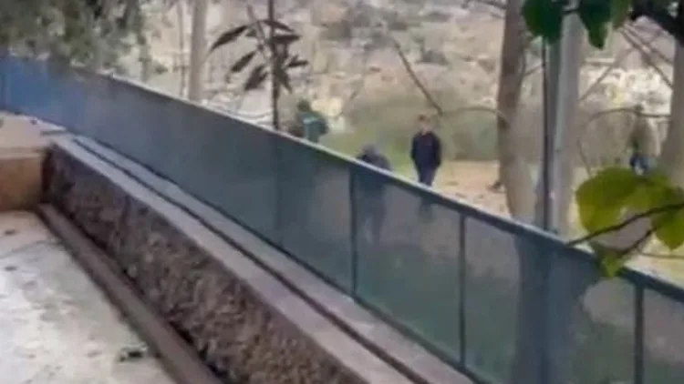 תיעוד: מתנחלים מיידים אבנים על בית פלסטיני לעיני חיילים