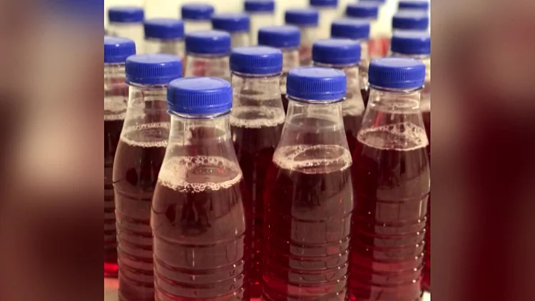 כוכבת הרשת שנעצרה בחשד לניסיון הברחת גת לישראל