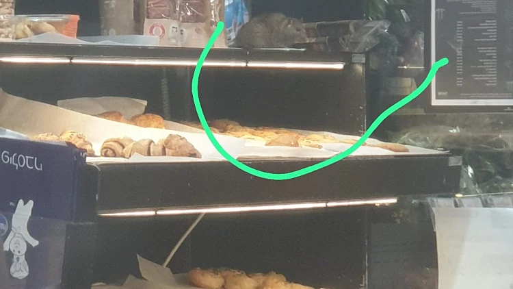 עכבר משוטט ב- AM:PM