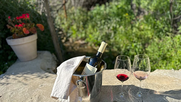 גוהר חצר יין