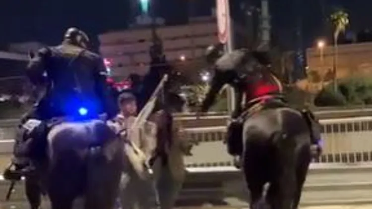 גרסת הפרש שהצליף במפגינה: "פעלתי כפי שהייתי צריך לפעול"