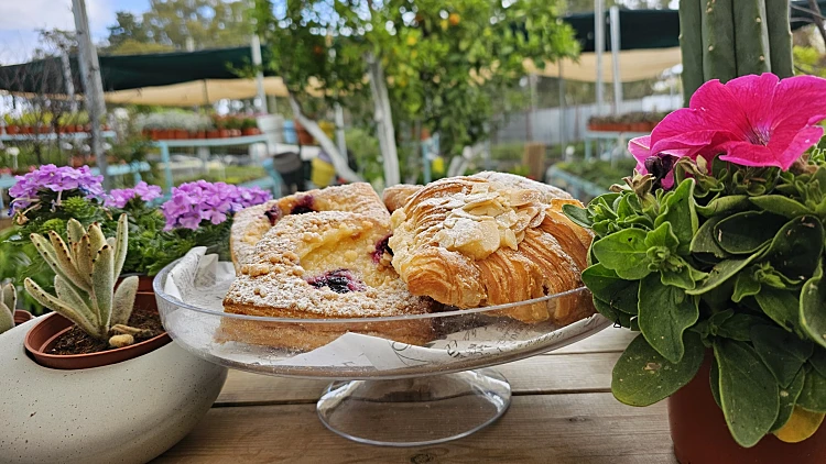 עגלת קפה דשא גן