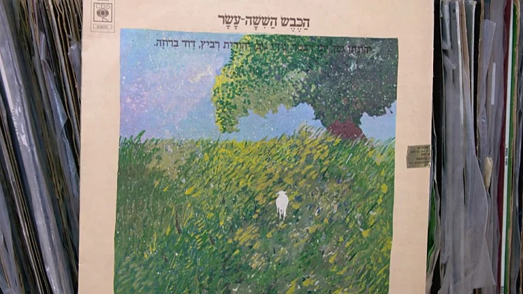 הספר, ההקלטות והפריצה: הסודות מאחורי הכבש השישה עשר