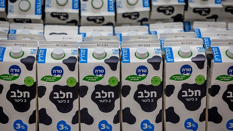 אחרי תנובה: גם טרה ושטראוס מעלות את מחירי כל המוצרים