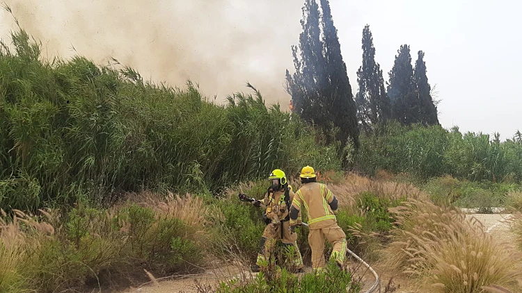 שריפה בפ"ת: בתים ותלמידים פונו, תנועת הרכבות חודשה חלקית