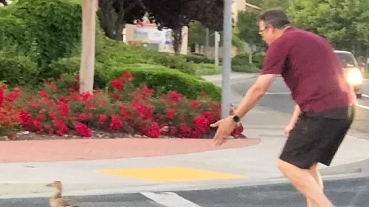 קייסי ריביירה