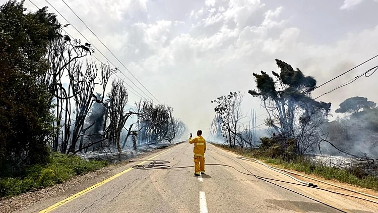קרב האשמות וחשש לקראת הקיץ: קריסת החשמל הגדולה