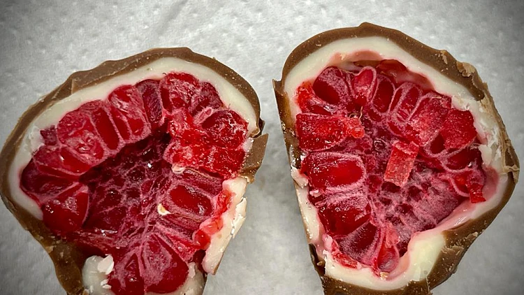 Whatsapp Image 2023 06 13 At 0