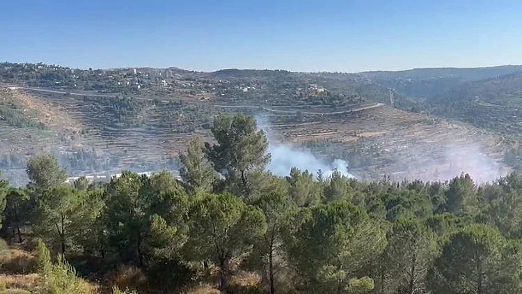 שריפה גדולה בירושלים: החל פינוי גן החיות התנ"כי