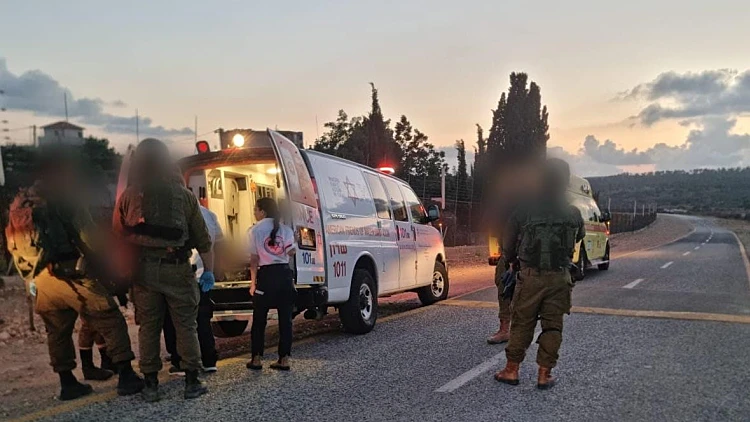 זירת האירוע ליד שקד