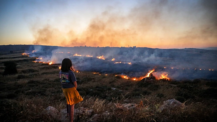 עבור הממשלה הנוכחית, הטרור היהודי הוא אגדה אורבנית | דעה