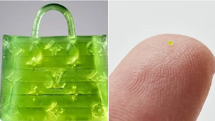 "קטן יותר מגרגר מלח": תיק מיקרוסקופי נמכר ביותר מ-63 אלף דולר | חדשות 13