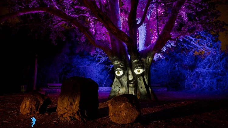 תופעת טבע פארק הירדן