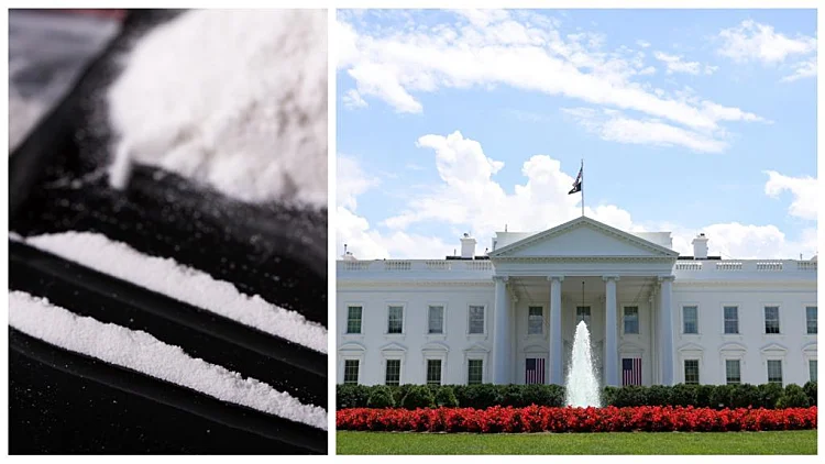 תעלומה בבית הלבן: איך הגיע קוקאין לאגף המערבי?