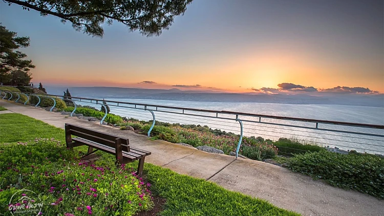 מעיין, בריכה וחוף - המלצות לטיולים קלים בפינות חמד בארץ