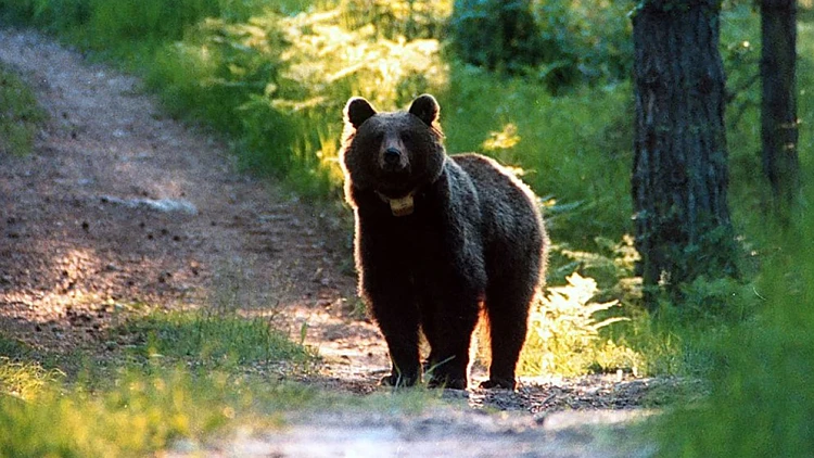 Screenshot 2023 07 15 122647