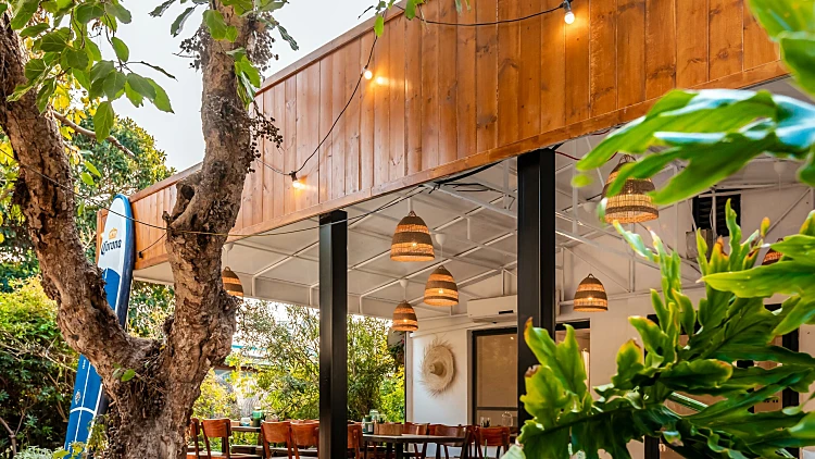 דולפין וילג'