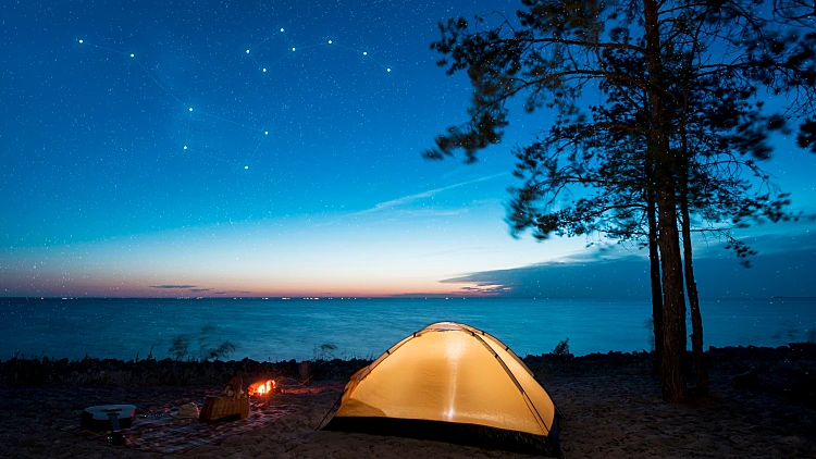 תחנת כוח ניידת