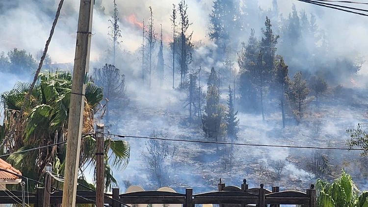 שריפה בהרי ירושלים; פארק "קיפצובה" פונה, מטוסי כיבוי הוזנקו