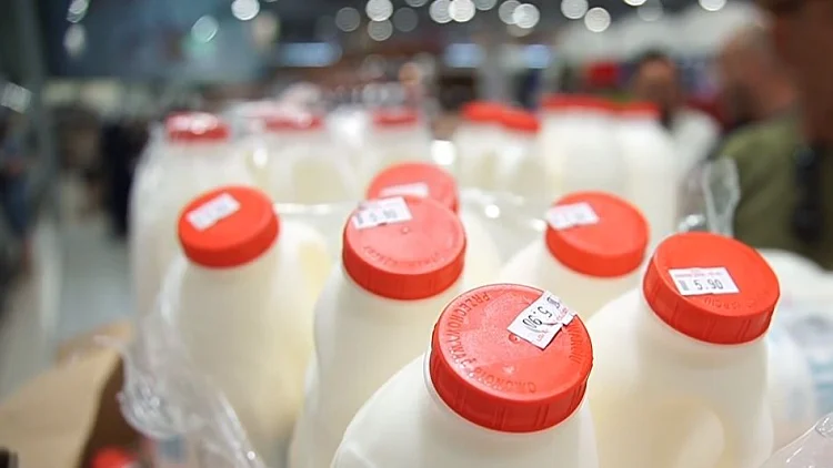 חלב תוצרת פולין הגיע לארץ: "להתגבר על המחסור"