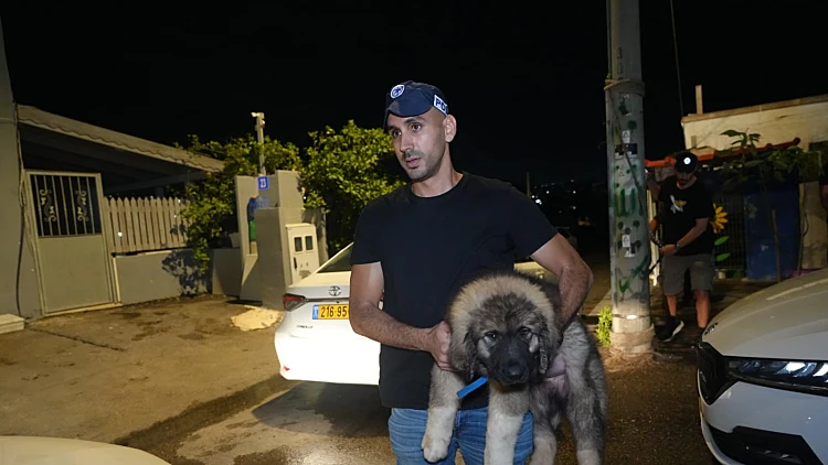 התעללות מחרידה: נעצר חשוד שהשליך גורי כלבים לים בחיפה