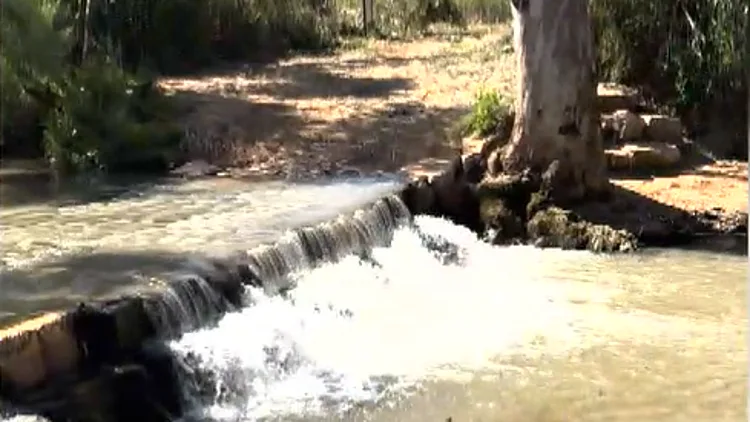 מקור המים המפתיע במרכז הארץ ועגלת קפה שגם ילדים יאהבו