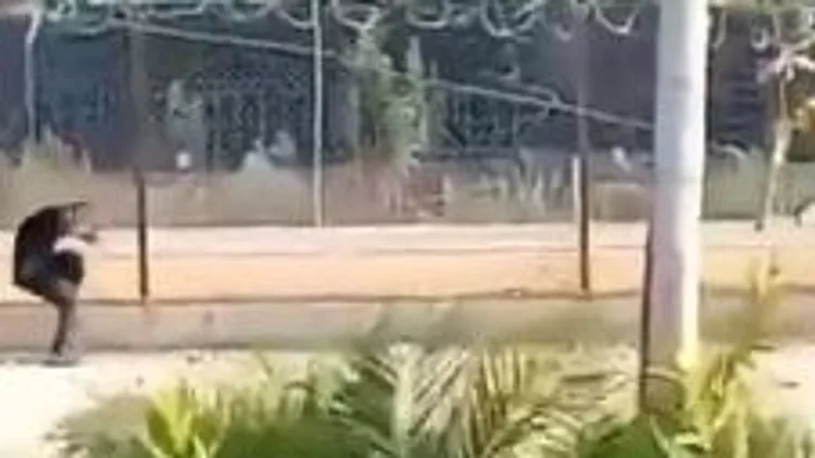 תיעוד חריג: פלסטיני נורה ליד גדר המערכת, מצ"ח חוקרת