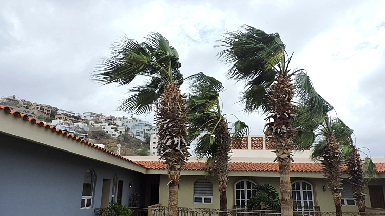 ארה"ב: מצב חירום לקראת הגעת סופת ההוריקן "הילארי" לקליפורניה