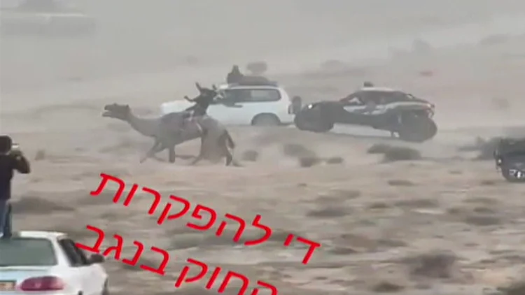 המערב הפרוע: מירוצי גמלים וירי בשטחי אש