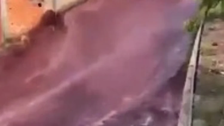 פורטוגל: המיכל התפוצץ ביקב - והיין זרם ברחובות | תיעוד