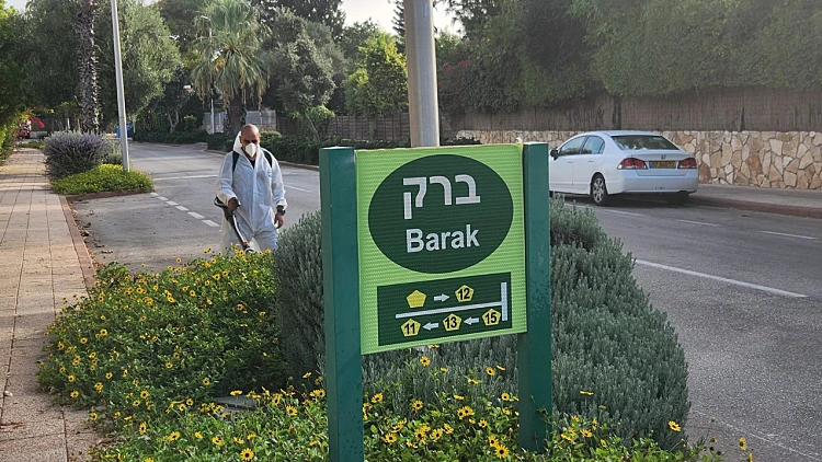 מבצע הדברה: תושבת כוכב יאיר נדבקה בקדחת הדנגי בחו"ל