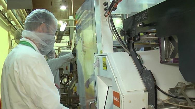 תחת אש: מפעלי המזון של שדרות חזרו לייצוא מלא למרות המתקפות