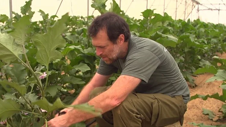 אחים למשק: הישראלים שעזבו הכל כדי להציל את חקלאות העוטף
