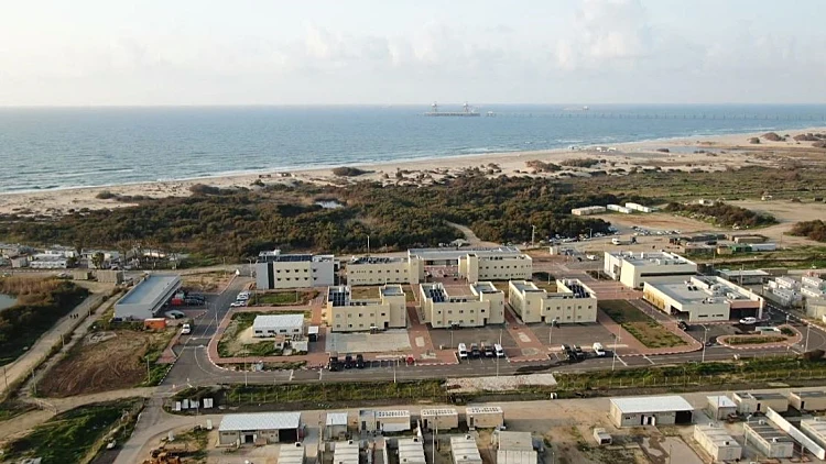 "זעקו לעזרה - ואף אחד לא בא": גבורת המפקדים בבט"ר זיקים