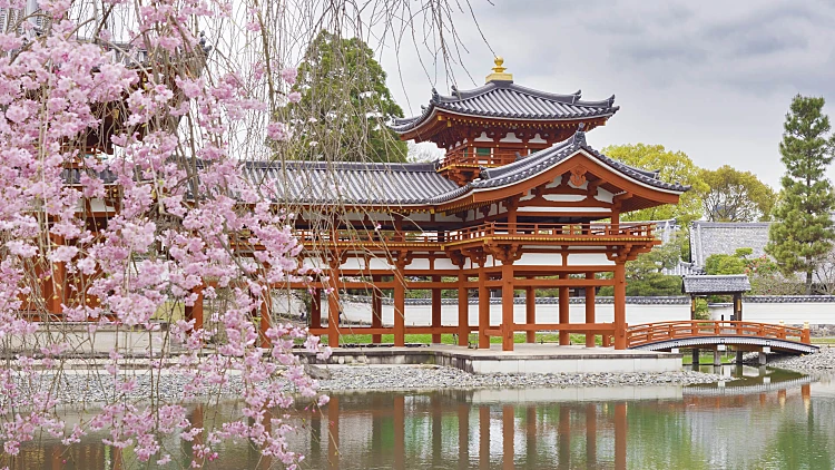 Shutterstock 567798025 1