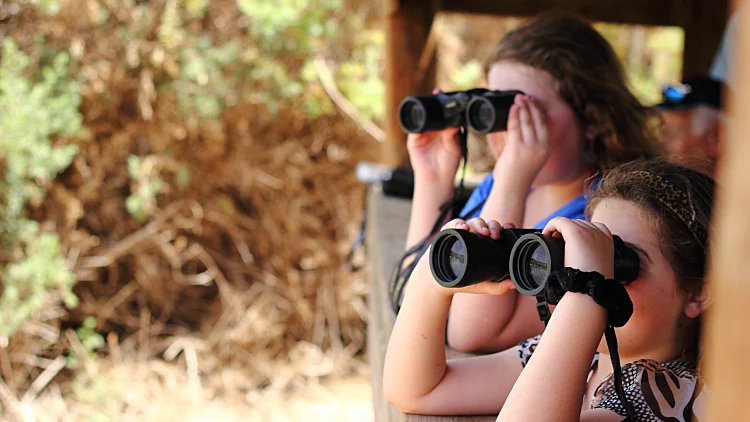 הדרכת צפרות וטיבוע בפארק צפרות אילת