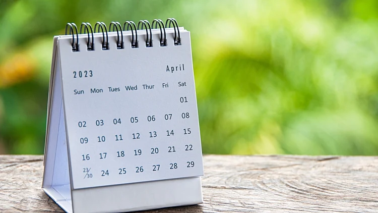 מיום שישי הקדוש ועד פסטיבל פריחת הדובדבן: 5 אירועי אביב ברחבי העולם | רשת 13