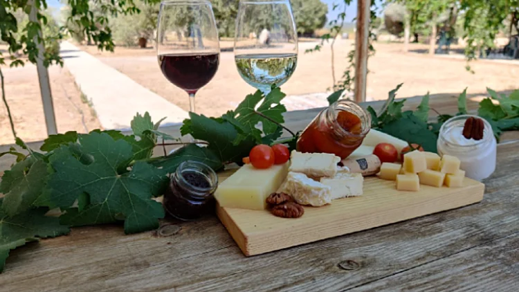 פלטת גבינות הנס שטרנבך