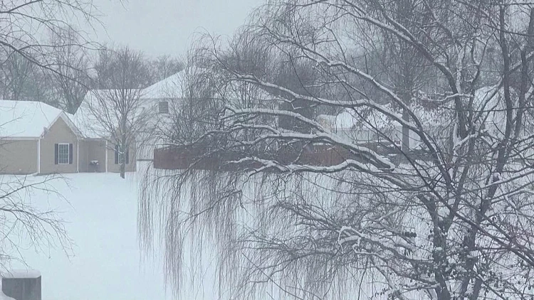 אחרי שנתיים של בצורת: השלג חוזר לניו יורק