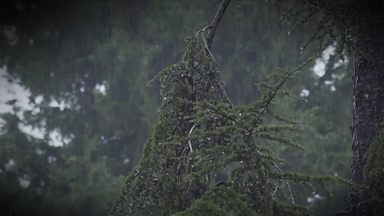 סערה של פעם ב-22 שנה: מעל 88 מ"מ של גשם בלילה אחד בת"א