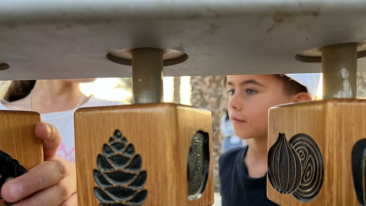 פעילות לכל המשפחה במדבריום