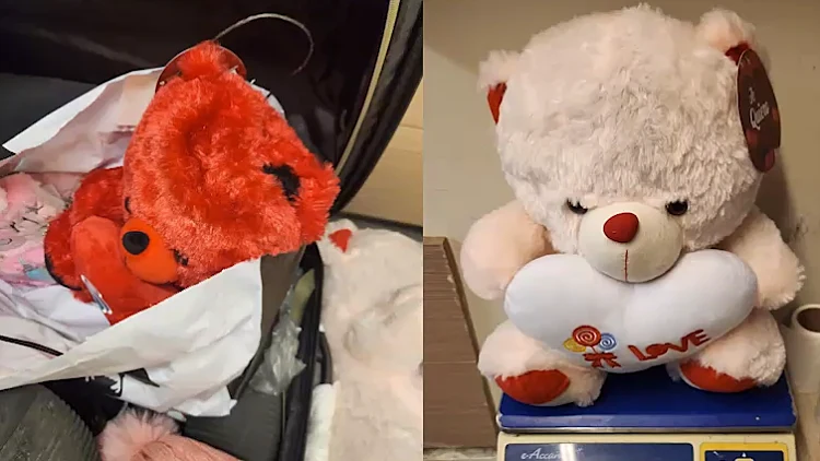 בתוך בובות דובי ליום האהבה: סוכלה הברחת זרעי קנאביס בנתב"ג