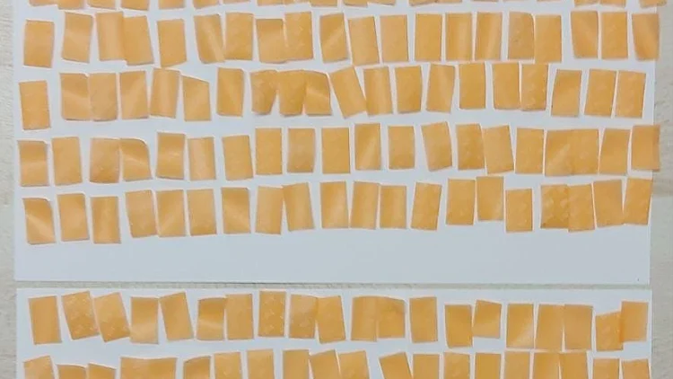 הסמים שניסה עורכת הדין להבריח