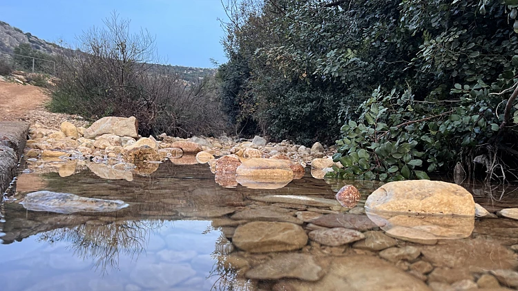 עין מג'נונה - 'המעיין המשוגע'