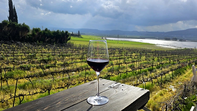 יקב שדות בשדה יעקב