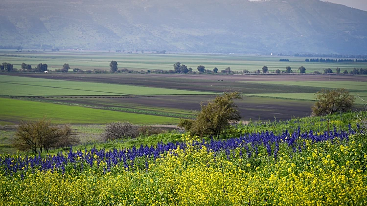 התחזית לשבת: מזג אוויר נוח, בהמשך השבוע ייתכן גשם מקומי