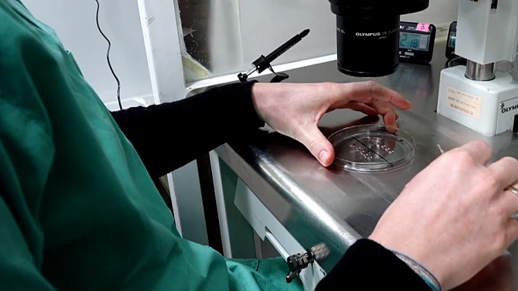 הסיכום היומי: היום ה-164 למלחמה